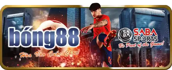 Sân vận động bóng đá
